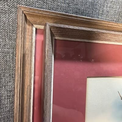 Pair Vintage John Gould Bird Prints Framed Matted Trogons Henry B Sandler Co - Thumbnail 16