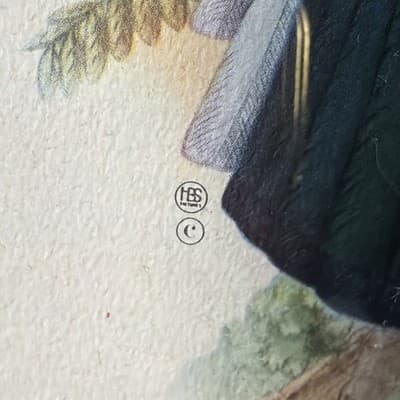 Pair Vintage John Gould Bird Prints Framed Matted Trogons Henry B Sandler Co - Thumbnail 8