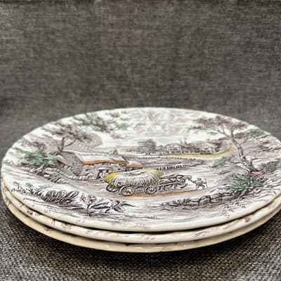 3 Vintage Staffordshire Yorkshire Ironstone 9 3/4” Dinner Plates 4405 Colors - Thumbnail 2