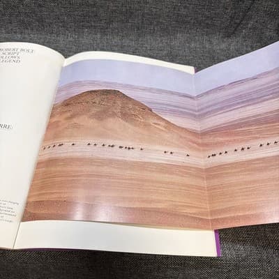 Lawrence of Arabia 1962 Columbia Pictures Illustrated SC Historical Biography - Thumbnail 10