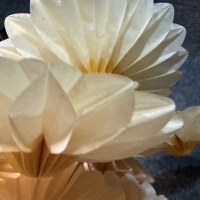 VTG Set of 8 Honeycomb Paper Flower Decorations 6" Yellow Cream Daisy MCM Party - Thumbnail 10
