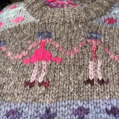 Vintage Ecuador Handknit 100% Wool Chunky Knit Sweater XL Women’s Woman Power - Thumbnail 6