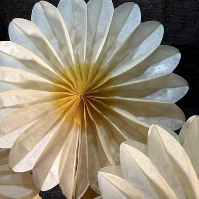 VTG Set of 8 Honeycomb Paper Flower Decorations 6" Yellow Cream Daisy MCM Party - Thumbnail 4