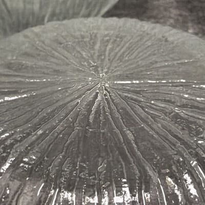 Vintage 6” Bark Or Ice Glass Dessert Or Soup Bowls With Lip Set of 8 Clear Glows - Thumbnail 13