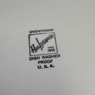 Vintage Harker Harkerware Star Lite Sky Blue 11” Plater Plate Utensil Marks - Thumbnail 11