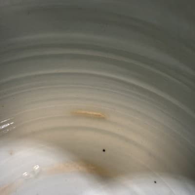 Vintage Japanese Studio Porcelain Vase Signed Kohara 古原 Hand Painted Fish 9" - Thumbnail 6