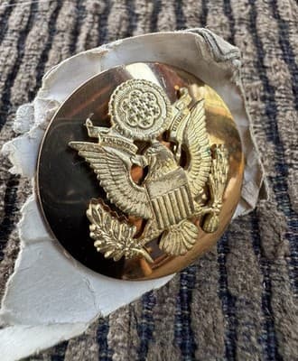Vintage Original, WWII, US Army Enlisted Hat Cap Badge Pin, Screw Back