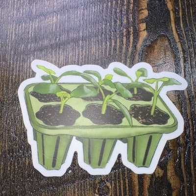 Seed Germination Starter Sticker 3" Water Bottle Laptop Locker Phones Helmets