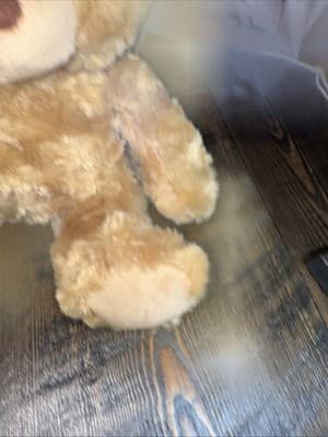 Official NFL Collectible 9” Bear Plush Good Stuff - NO Shirt - Thumbnail 2