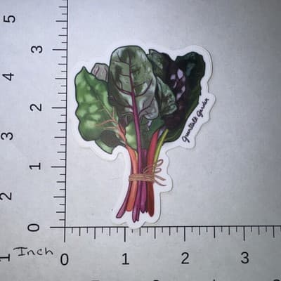 Rainbow Chard Garden Vegetable Sticker 3" Water Bottle Laptop Locker Phones - Thumbnail 2