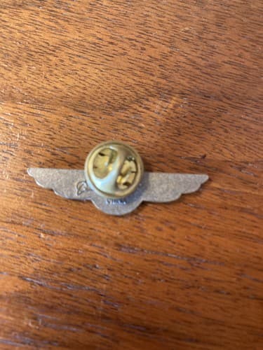 Boeing 787 Wings lapel hat Pin Airplane Souvenir bronze Pilot Flight Attendant - Thumbnail 3