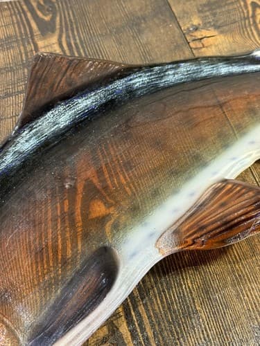 Large Glass German Brown Trout Serving Dish Vintage 24 Inches fish platter decor - Thumbnail 4