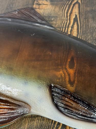Large Glass German Brown Trout Serving Dish Vintage 24 Inches fish platter decor - Thumbnail 10