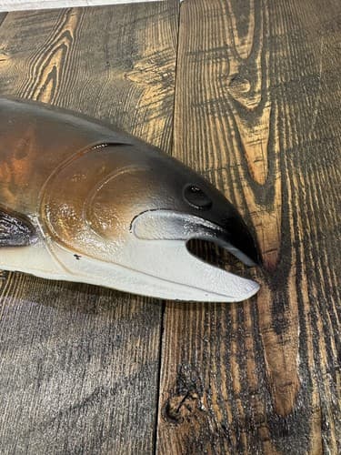 Large Glass German Brown Trout Serving Dish Vintage 24 Inches fish platter decor - Thumbnail 11