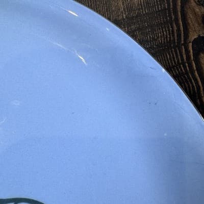 Set of 4 Homer Laughlin Skytone Blue 10" Dinner Plate Stardust Blue MCM Leaves - Thumbnail 8