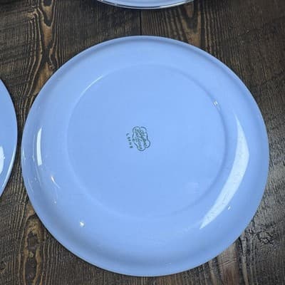Set of 4 Homer Laughlin Skytone Blue 10" Dinner Plate Stardust Blue MCM Leaves - Thumbnail 11