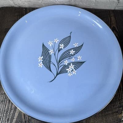 Set of 4 Homer Laughlin Skytone Blue 10" Dinner Plate Stardust Blue MCM Leaves - Thumbnail 6