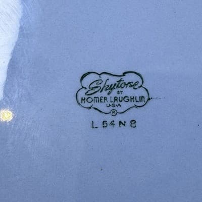 Set of 4 Homer Laughlin Skytone Blue 10" Dinner Plate Stardust Blue MCM Leaves - Thumbnail 17