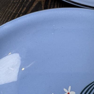 Set of 4 Homer Laughlin Skytone Blue 10" Dinner Plate Stardust Blue MCM Leaves - Thumbnail 7
