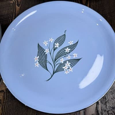 Set of 4 Homer Laughlin Skytone Blue 10" Dinner Plate Stardust Blue MCM Leaves - Thumbnail 4
