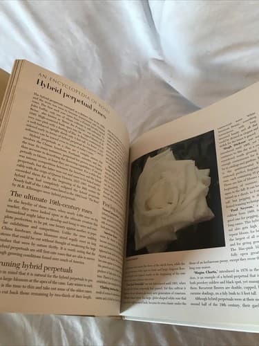 Rose Garden - Traditional Home Hardcover book 1995 Excellent Condition - Thumbnail 4