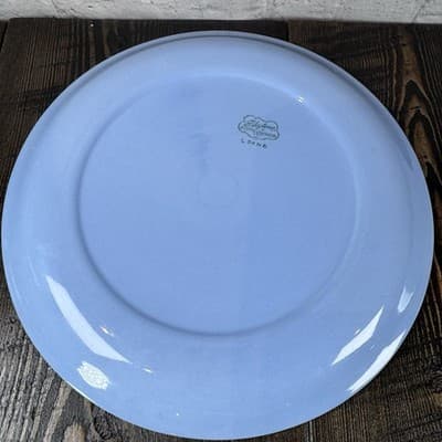 Set of 4 Homer Laughlin Skytone Blue 10" Dinner Plate Stardust Blue MCM Leaves - Thumbnail 13