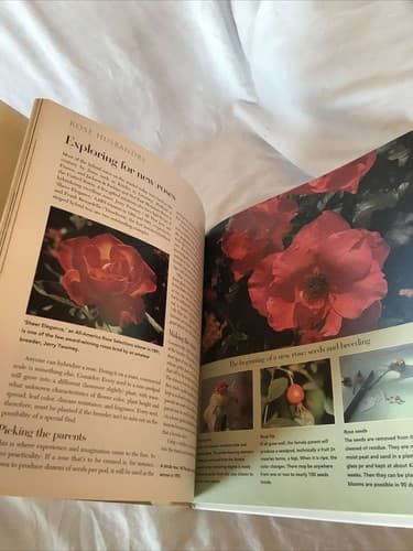 Rose Garden - Traditional Home Hardcover book 1995 Excellent Condition - Thumbnail 5
