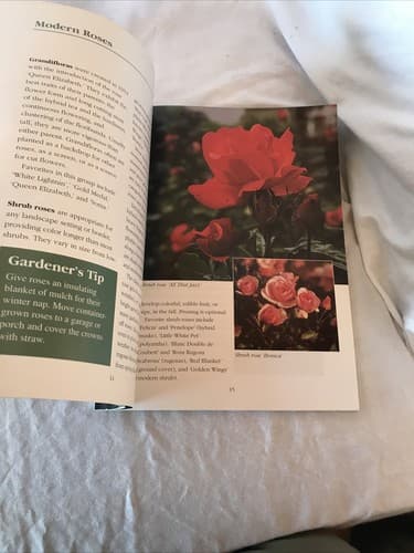 Better Homes and Gardens: Roses : The Gardener's Collection Excellent Condition - Thumbnail 5