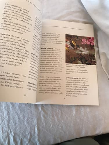 Better Homes and Gardens: Roses : The Gardener's Collection Excellent Condition - Thumbnail 3