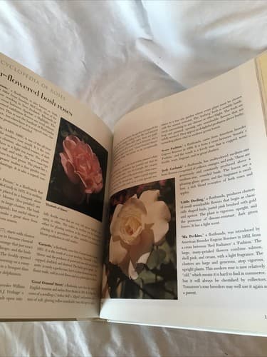 Rose Garden - Traditional Home Hardcover book 1995 Excellent Condition - Thumbnail 3