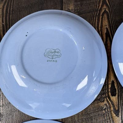 Set of 4 Homer Laughlin Skytone Blue 7.5” Soup Bowl Stardust Blue MCM Leaves - Thumbnail 12