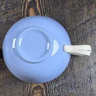 4 Piece Homer Laughlin Skytone Blue Teacup and Saucer Stardust Blue MCM Leaves - Thumbnail 7