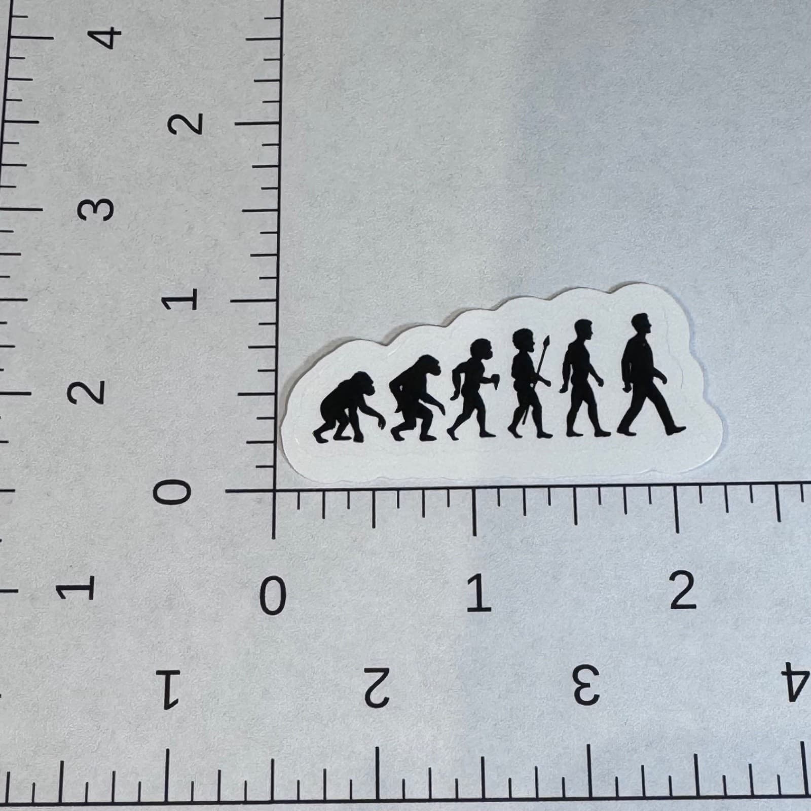 Evolution of Homo sapiens sticker 2” water bottle mug locker hard hat lunch box - Thumbnail 2