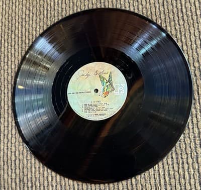 Judy Collins - Lot Of 2 Vinyl LP Records - Living - Colors Of The Day, Best Of - Thumbnail 8