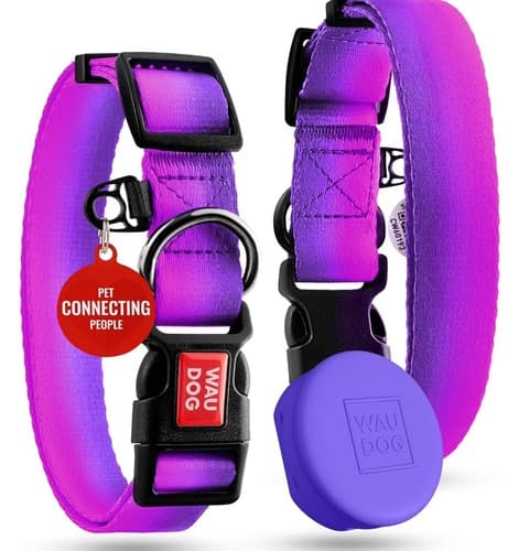 Extra Small Nylon Dog Cat Collar Airtag Holder QR Code Tag Bright Purple Pink