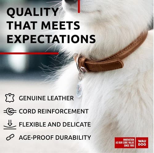 Brown Ultra Soft Rolled Leather Collar for XS Dog Cat 8-10 inch Neck QR ID Tag - Thumbnail 6