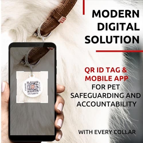 Brown Ultra Soft Rolled Leather Collar for XS Dog Cat 8-10 inch Neck QR ID Tag - Thumbnail 8