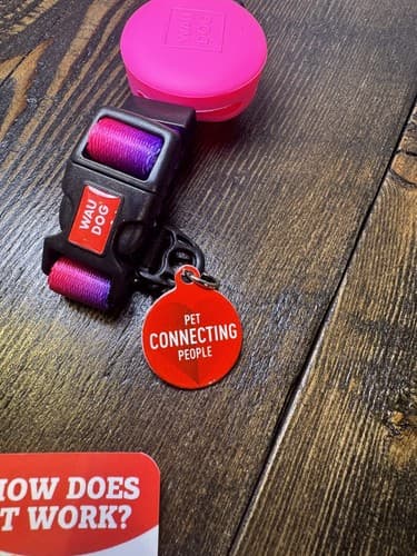 Extra Small Nylon Dog Cat Collar Airtag Holder QR Code Tag Bright Purple Pink - Thumbnail 4