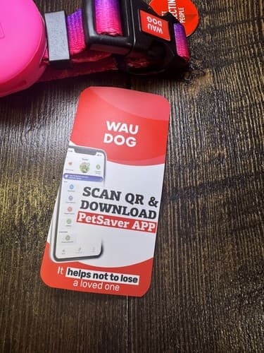 Extra Small Nylon Dog Cat Collar Airtag Holder QR Code Tag Bright Purple Pink - Thumbnail 3