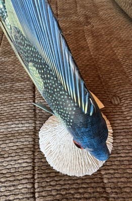 Large Vintage Nature Crafts Hand Carved And Painted Wood Fish Sculpture - Thumbnail 14