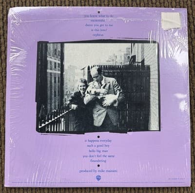 Carly Simon ‎2 Vinyl Records, No Secrets, 1974 / Hello Big Man, 1983 - Thumbnail 11