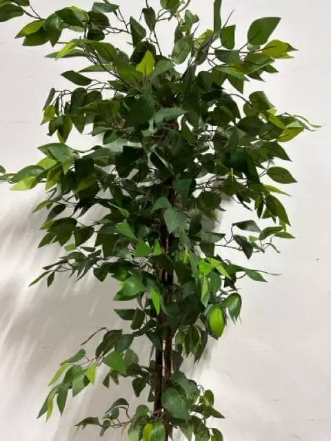 Faux Ficus Tree - Thumbnail 3