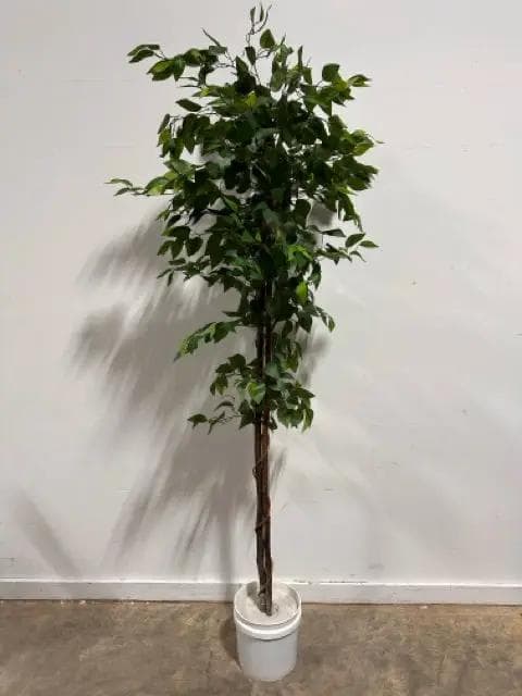 Faux Ficus Tree