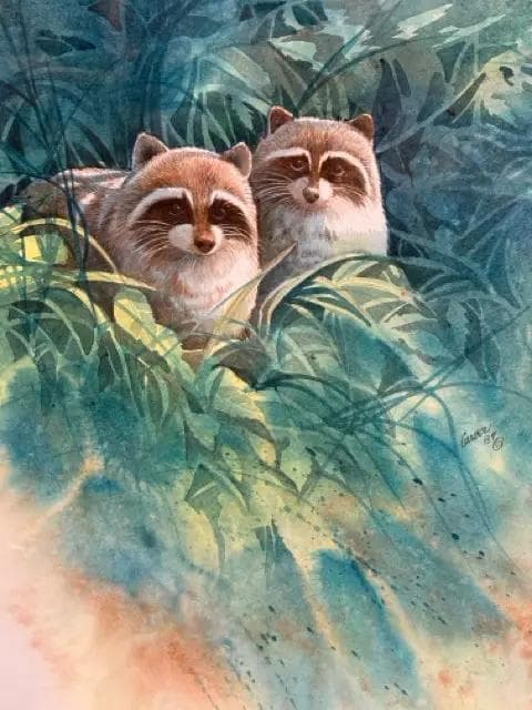 Raccoons in Foliage signed by Robert Carver in Oak Frame - Thumbnail 2