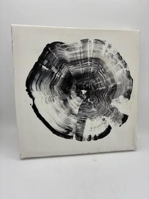 Tree Ring Canvas Art