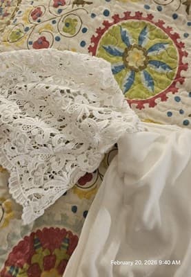 White House Black Market Shirt Womens White Lace Sleeveless Sz 2 - Thumbnail 11