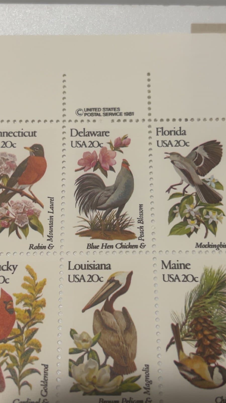 1981 USPS 50 States Birds and Flowers, 20c Commemerative Stamps - Thumbnail 3