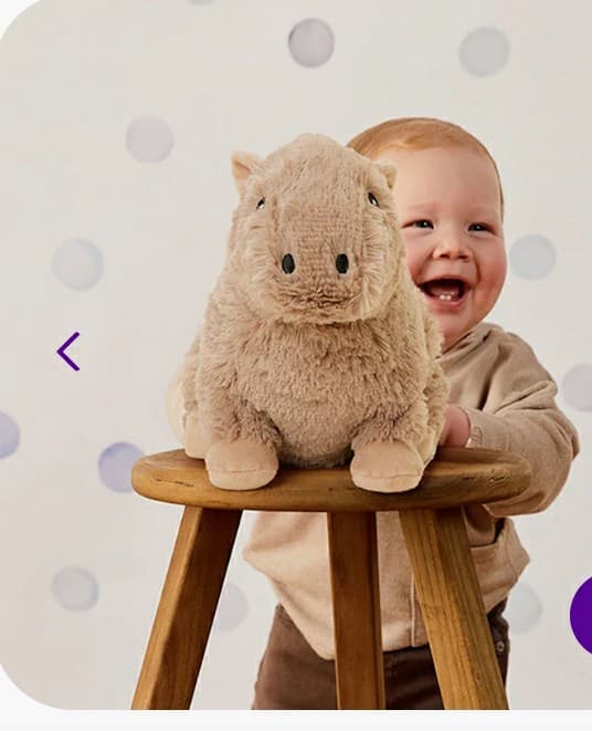 Warmies Microwavable Capybara Plush – Weighted Lavender Sensory Toy - Thumbnail 3