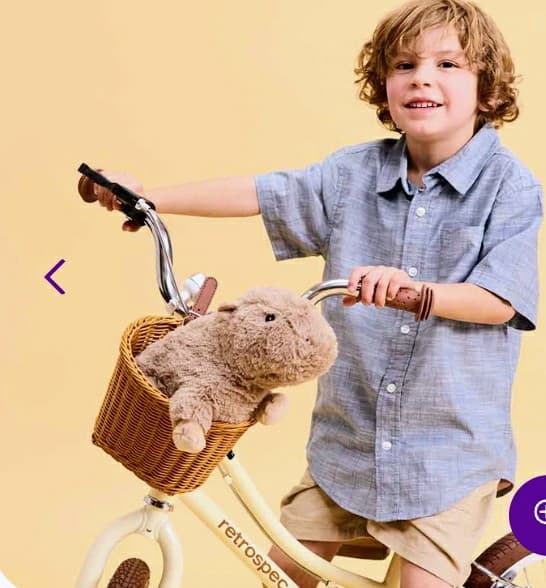 Warmies Microwavable Capybara Plush – Weighted Lavender Sensory Toy - Thumbnail 2