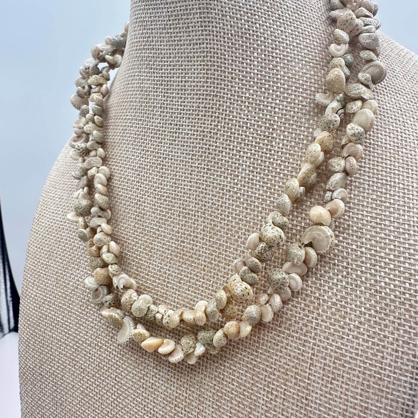 Vintage 60s Hawaiian Style Speckled Shell Lei Strand Necklace Jewelry - Thumbnail 4